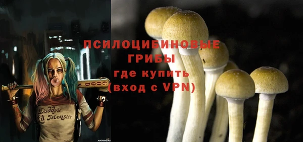 кокаин премиум Заводоуковск