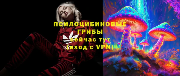 эйфоретик Зерноград