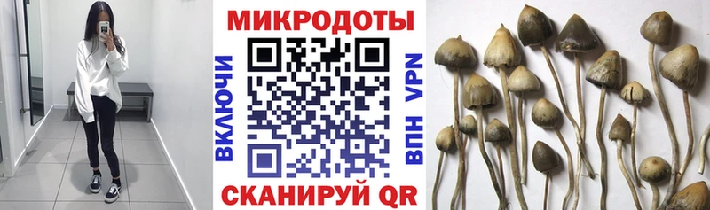 гидра рабочий сайт  Калач  Псилоцибиновые грибы мицелий  цена  